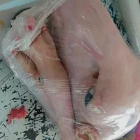 گوشت بره نرینه درجه یک کیلویی 630|عمدهفروشی|بجنورد, |دیوار