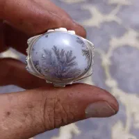 انگشتر شجر زیبا