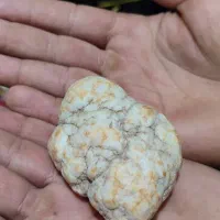 سنگ یاقوت سفید نیست در جهان