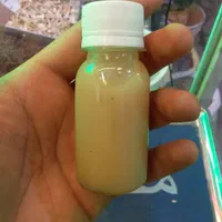 روغن الاغ/حمار/خر/درمان زخم معده/سیاتیک درد آرتروز