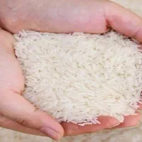 برنج هاشمی درجه یک ازتولید به مصرف