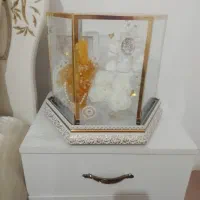 باکس شاخه نبات عروس و داماد