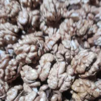 گردو ایرانی ۱۴۰۴ الموت بالای ۵۰۰گرم مغز|خوردنی و آشامیدنی|محمدیه-قزوین, |دیوار