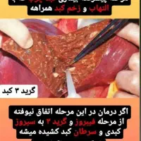 مزاج شناسی|خدمات آموزشی|شیراز, عفیف‌آباد|دیوار