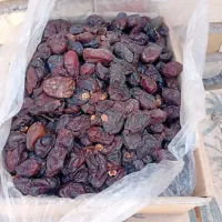 خریدار (پون) ضایعات خرما