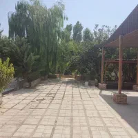 باغچه ۸۴۰متر (خریدوفروش باغ باغچه ویلا فقط چارباغ)|فروش دفتر صنعتی، کشاورزی، تجاری|شاهدشهر, |دیوار
