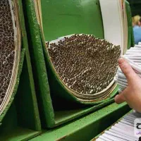 استخدام نیروی تازه وارد در شرکت سیگار|استخدام صنعتی، فنی، مهندسی|تربت‌حیدریه, کاشانی|دیوار