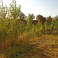 زمین کشاورزیو باغ۴۰۰۰متری مریوان