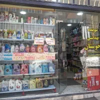 شوینده و محصولات سلولزی با قیمت مناسب