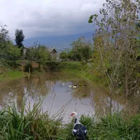 نیازمند اجاره خانه ویلایی مستقل حیاطدار اطراف رشت)