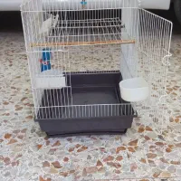 قفس درهویزه|لوازم جانبی حیوانات|سوسنگرد, |دیوار