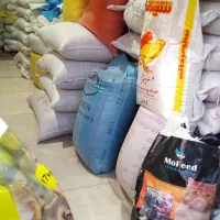 انواع دانه و پرنده و لوازم جانبی پرندگان