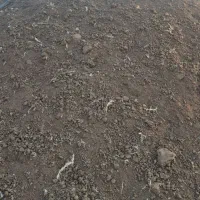 کود مرغی نرم و خالص