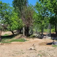 باغ انگور|فروش زمین و ملک کلنگی|ضیاء آباد, |دیوار