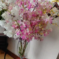 گل با گلدان در حد نو