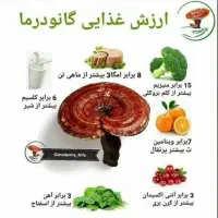 قهوه گانودرما دکتر بیز (نماینده رسمی)|خوردنی و آشامیدنی|شیراز, بهارستان|دیوار