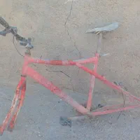 تنه و رینگ دوچرخه ۲۴|دوچرخه، اسکیت، اسکوتر|زهک, |دیوار