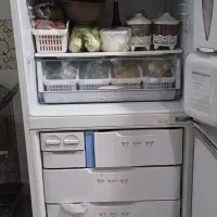 یخچال اسنوا تمیز