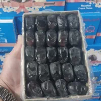 ویزیتور خانم