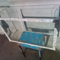 آکواریوم با تمام وسایل|ماهی|مراغه, |دیوار