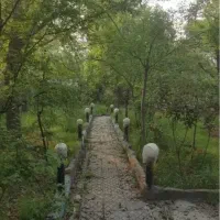 فروش فوری ۵۰۰متر زمین/مسکونی/ابتدای هفت باغ/