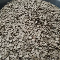 تخمه|خوردنی و آشامیدنی|گرگان, |دیوار