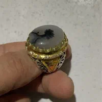 انگشتر نقره دست ساز شجر قاین تک درخت|جواهرات|گرگان, |دیوار