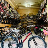 دوچرخه۲۴نیو ویوا حرفه ای کلاجدار کوهستانی اکبند