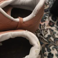 کفش|کیف، کفش، کمربند|شیراز, سرو|دیوار