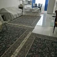 ۷۵ متر تجاری/ بلوار پژوهنده/ گلبرگ ها/ بر خیابان