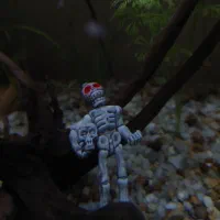 پرورش ماهی آکواریومی|ماهی|اهر, |دیوار