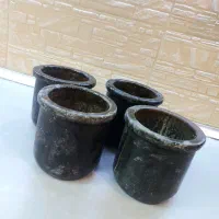 دیزی سنگی سالم