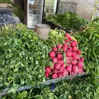 سبزی خوردن تازه بسته بندی|خوردنی و آشامیدنی|مشهد, وحید|دیوار