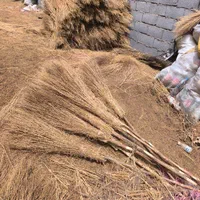 جارو شهرداری(سیخی)