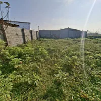 ۲۹۰متر دور محصور شده بادپروانه ساخت در ندامان|فروش زمین و ملک کلنگی|گوراب زرمیخ, |دیوار