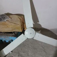 پنکه سقفی ama