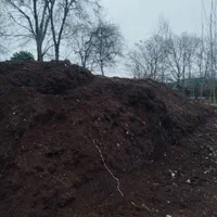 خاک باغچه و گل و گیاه و مناسب برای درخت کاری وباکس|خدمات باغبانی و درختکاری|فومن, |دیوار