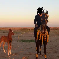 ایلام دهلران دشت عباس روستای فتح