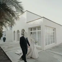 لباس عروس|لباس|ساری, |دیوار