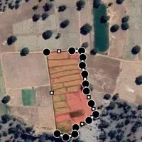 فروش زمین .برنج. باغ.گلخانه.گاوداری|فروش زمین و ملک کلنگی|یاسوج, |دیوار