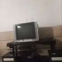 تلویزیون ۲۱ اینچ ومیز تلویزبون|تلویزیون و پروژکتور|شیراز, شهرک ترکان|دیوار