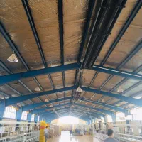 فروش کارخانه در شهرک صنعتی مامونیه|فروش دفتر صنعتی، کشاورزی، تجاری|تهران, آذری|دیوار