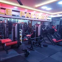 باشگاه بدنسازی|تجهیزات ورزشی|اردبیل, |دیوار