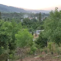 فروش-یک-قطعه-زمین-بافت-باغات
