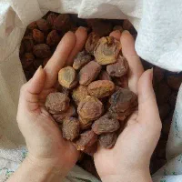 زرد الو|خوردنی و آشامیدنی|بهارستان, |دیوار