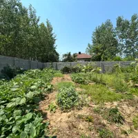 فروش-زمین-مسکونی-564-متری-روستایی