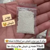پودرشپش