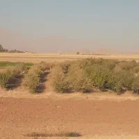 فروش زمین کشاورزی وباغ|فروش زمین و ملک کلنگی|زنده رود, |دیوار