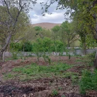 باغ کهندان|فروش زمین و ملک کلنگی|قاهان, |دیوار