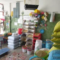 مرکز پخش سبوس،کنسانتره»دان جوجه،ذرت گندم،دان پرنده